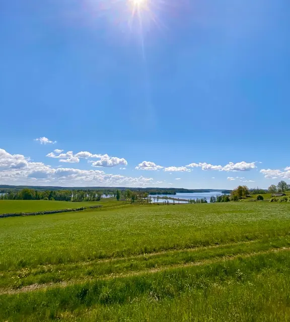 Green fields and a lake under a clear sky in Sweden
